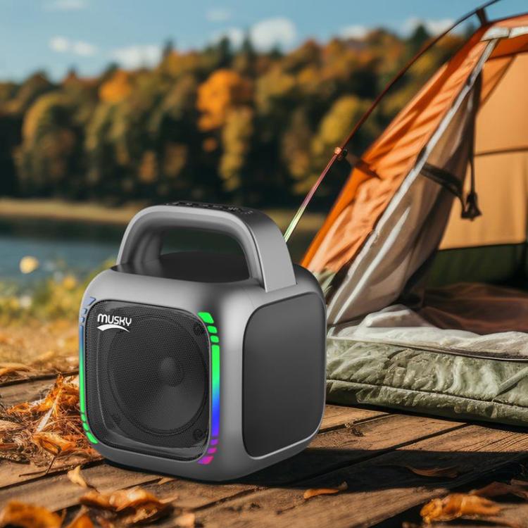 The Mosky MS6 Mini Hi-Fi Bluetooth speaker